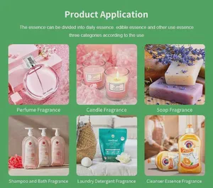 Surplus / Overstock From Cancelled Order: Mixed Beauty Stock Lot BT-B543 - 300 pcs available