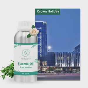 Surplus / Overstock From Cancelled Order: Reed Diffuser Set BT-A374 - 8,000 pcs available