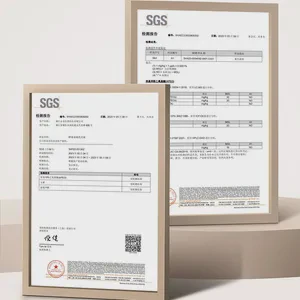 Discontinued Packaging Clearance: Mop with Bucket Set DL-B820 - 8,000 pcs available