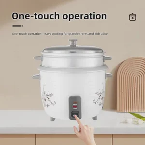 Cancelled Export Order: Electric Kettle HA-627 - 40 units available