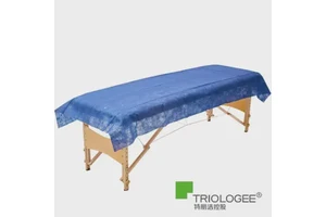Warehouse Consolidation Lot: Mattress Protector HT-993 - 1,200 pcs available