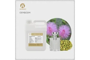 Repackaging Clearance: Room Spray BT-B153 - 1,200 pcs available