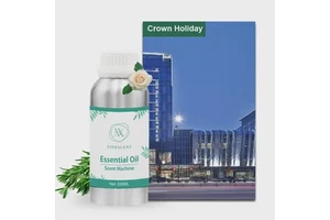 Surplus / Overstock From Cancelled Order: Reed Diffuser Set BT-A374 - 8,000 pcs available